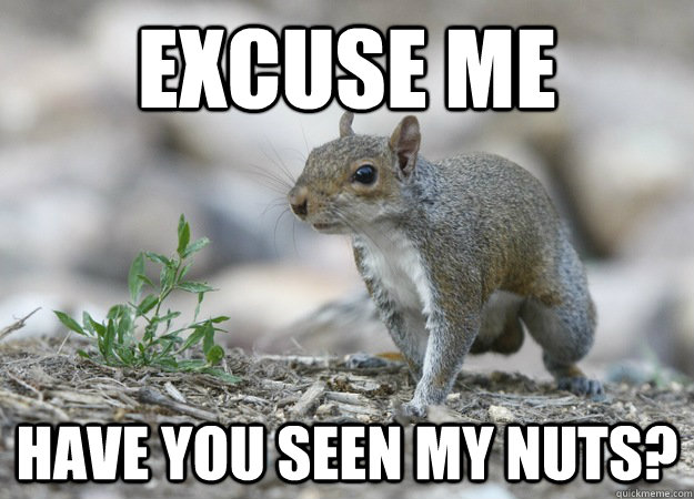 Excuse me Have you seen my nuts?  
