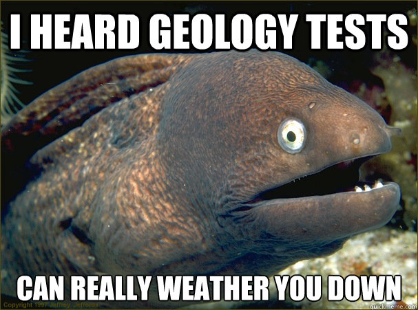I heard geology tests can really weather you down  Bad Joke Eel