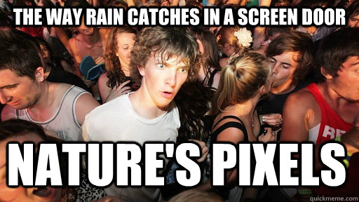 The way rain catches in a screen door nature's pixels  Sudden Clarity Clarence
