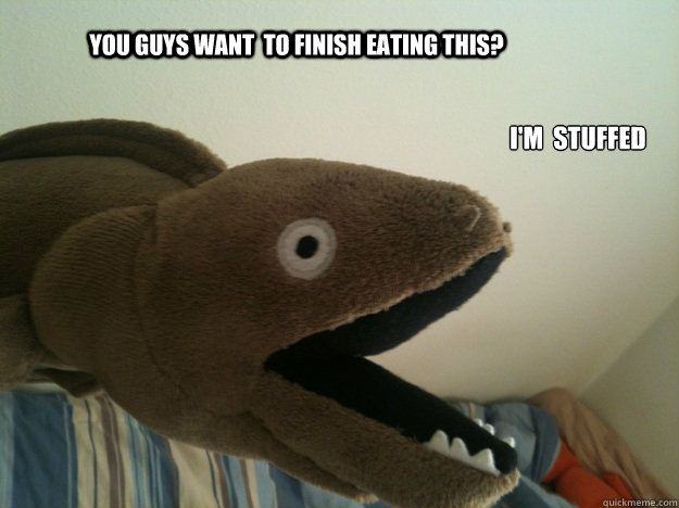 You guys want  to finish eating this? I'm  stuffed - You guys want  to finish eating this? I'm  stuffed  Misc
