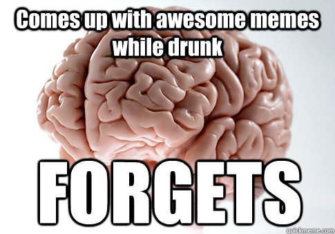 Comes up with awesome memes while drunk  FORGETS  Scumbag Brain