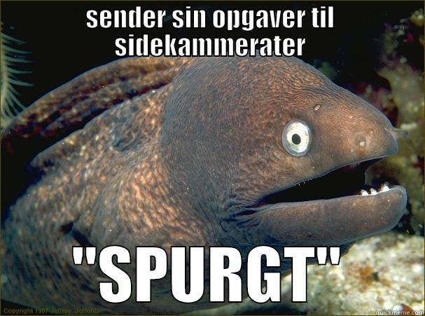 SENDER SIN OPGAVER TIL SIDEKAMMERATER 