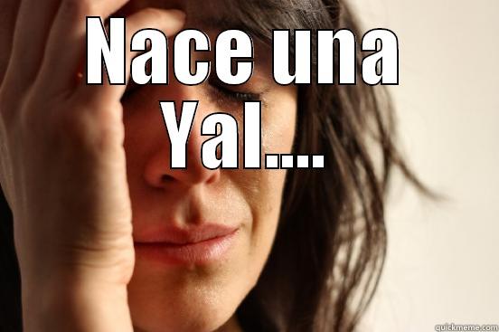 CADA VEZ QUE DICES (BAJALE 2) NACE UNA YAL.... First World Problems
