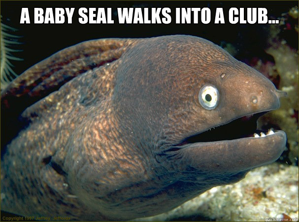 A baby seal walks into a club...   Bad Joke Eel