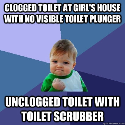 clogged toilet at girl's house with no visible toilet plunger unclogged toilet with toilet scrubber  Success Kid