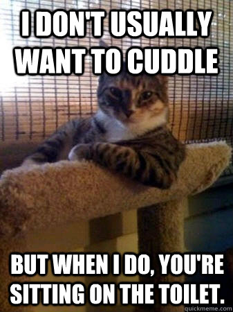I don't usually want to cuddle but when I do, you're sitting on the toilet.  The Most Interesting Cat in the World