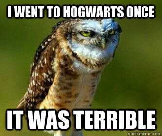 I went to Hogwarts once It was terrible  Ornery Owl