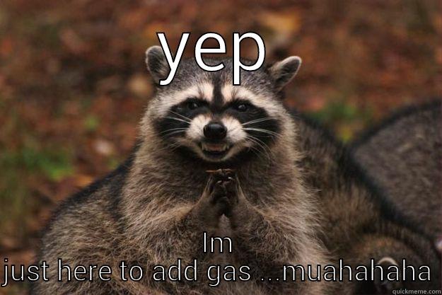 YEP IM JUST HERE TO ADD GAS ...MUAHAHAHA Evil Plotting Raccoon