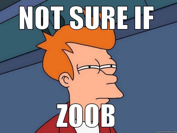 NOT SURE IF ZOOB Futurama Fry