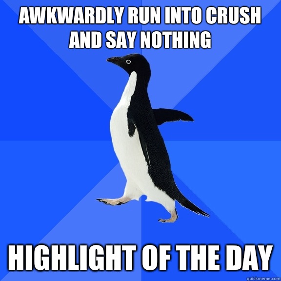 Awkwardly run into crush and say nothing Highlight of the day  Socially Awkward Penguin