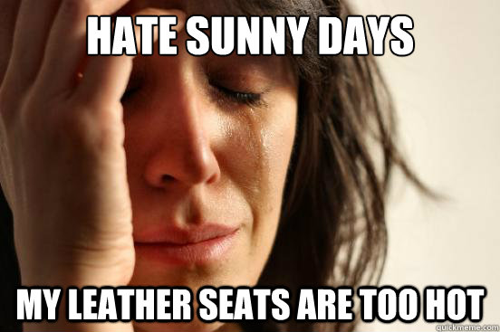 Hate sunny days my leather seats are too hot  First World Problems