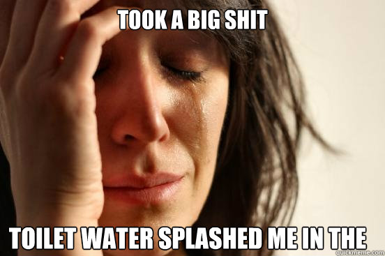 took a big shit  toilet water splashed me in the ass   First World Problems