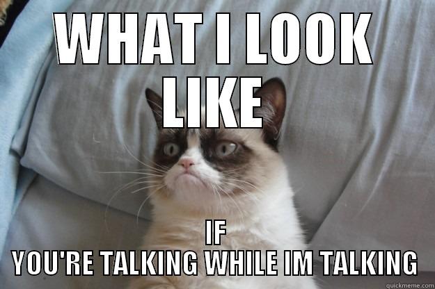WHAT I LOOK LIKE IF YOU'RE TALKING WHILE IM TALKING Grumpy Cat