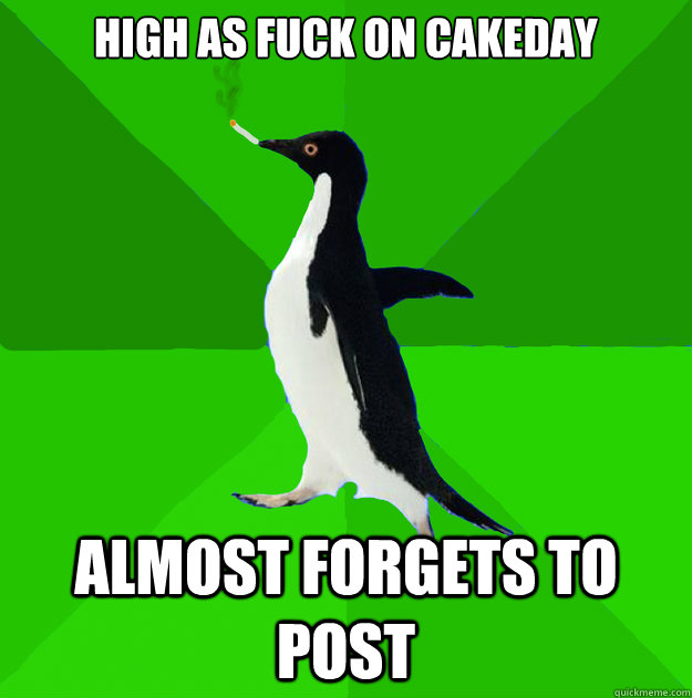 High as fuck on cakeday Almost forgets to post  Stoner Penguin