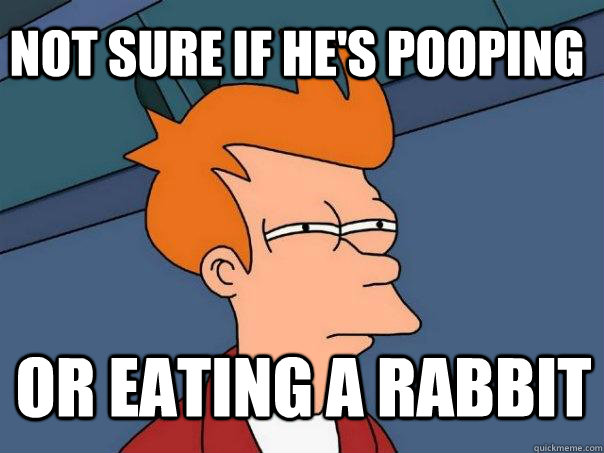 Not sure if he's pooping or eating a rabbit  Futurama Fry
