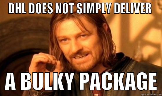 DHL DOES NOT SIMPLY DELIVER   A BULKY PACKAGE Boromir