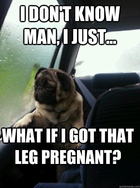 I don't know man, I just... what if I got that leg pregnant?  Introspective Pug