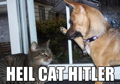 Heil Cat Hitler  cat hitler