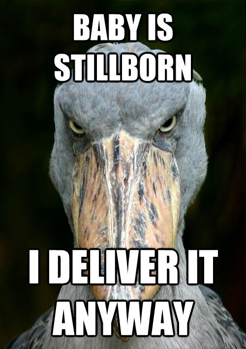 BABY IS STILLBORN I DELIVER IT ANYWAY  