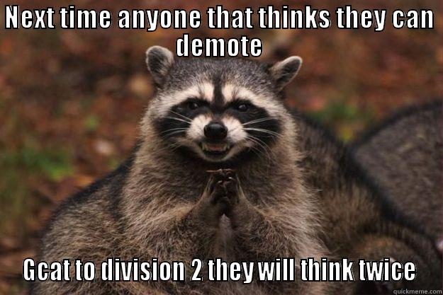 Evil plan - NEXT TIME ANYONE THAT THINKS THEY CAN DEMOTE GCAT TO DIVISION 2 THEY WILL THINK TWICE Evil Plotting Raccoon