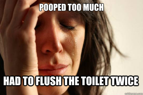 Pooped too much had to flush the toilet twice  First World Problems