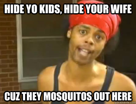Hide yo kids, hide your wife cuz they mosquitos out here  