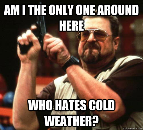 Am i the only one around here who hates cold weather? - Am i the only one around here who hates cold weather?  Am I The Only One Around Here