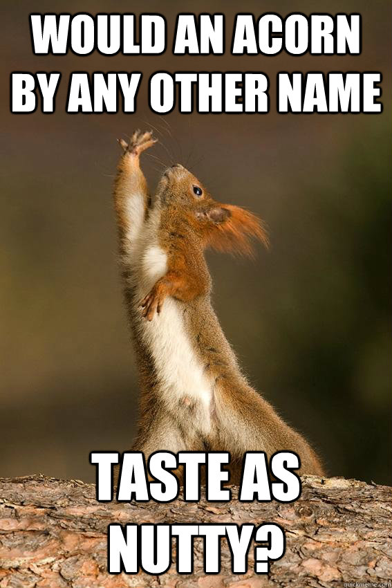 Would an acorn by any other name Taste as nutty?  Shakespeare Squirrel