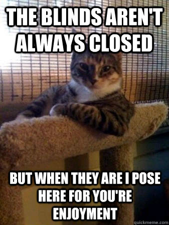 The blinds aren't always closed but when they are i pose here for you're enjoyment  The Most Interesting Cat in the World