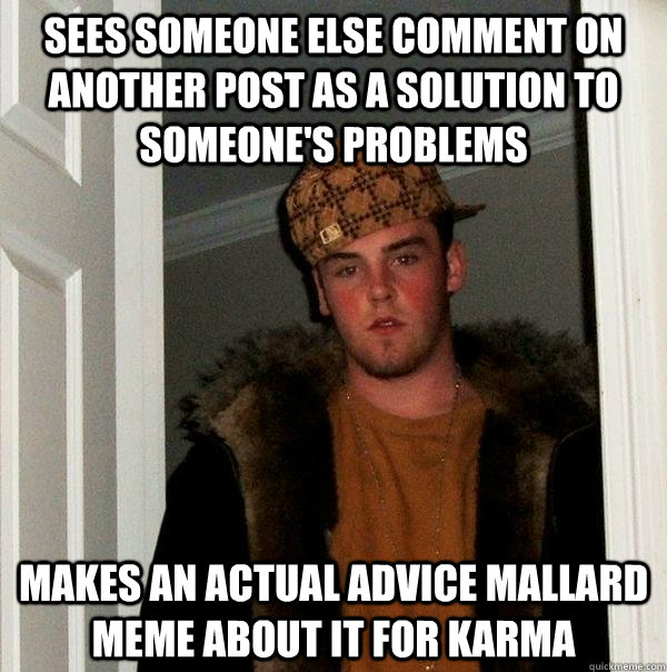 sees someone else comment on another post as a solution to someone's problems makes an actual advice mallard meme about it for karma  Scumbag Steve