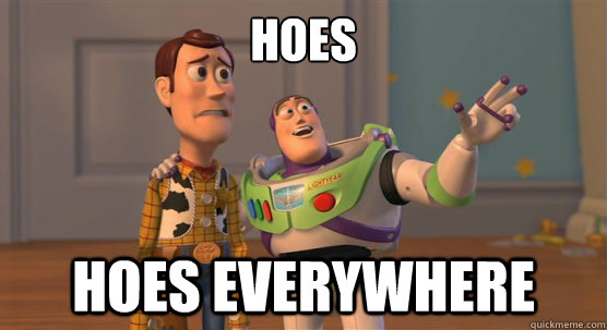 Hoes Hoes EVERYWHERE  Toy Story Everywhere