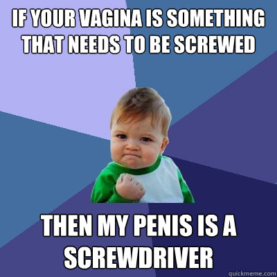 If your vagina is something that needs to be screwed then my penis is a screwdriver - If your vagina is something that needs to be screwed then my penis is a screwdriver  Success Kid