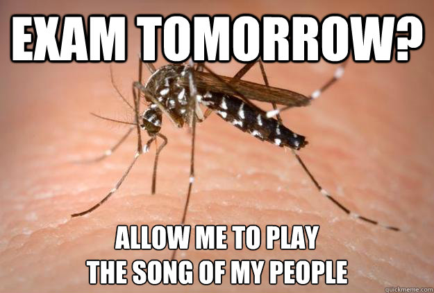 EXAM TOMORROW? ALLOW ME TO PLAY
THE SONG OF MY PEOPLE - EXAM TOMORROW? ALLOW ME TO PLAY
THE SONG OF MY PEOPLE  Master Troll Mosquito