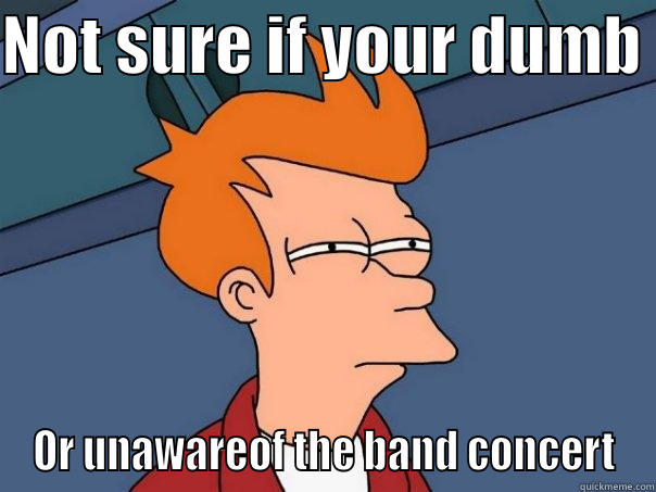 NOT SURE IF YOUR DUMB  OR UNAWAREOF THE BAND CONCERT Futurama Fry