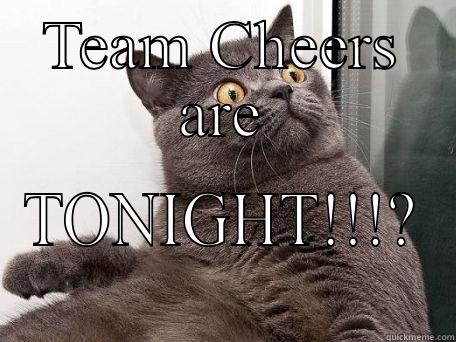 Kid's Club 2016 - TEAM CHEERS ARE TONIGHT!!!? conspiracy cat