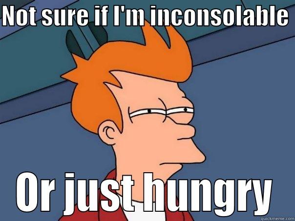 NOT SURE IF I'M INCONSOLABLE  OR JUST HUNGRY Futurama Fry