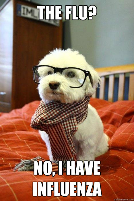the flu? no, I have influenza  Hipster Dog