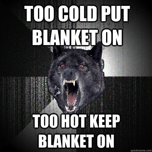 Too cold put blanket on too hot keep blanket on  Insanity Wolf