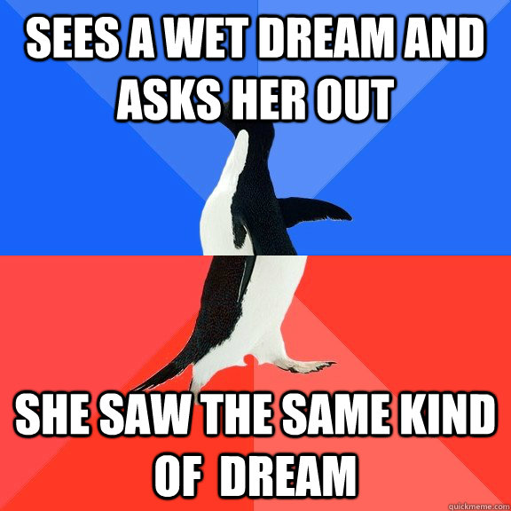 Sees a wet dream and asks her out She saw the same kind of  dream  Socially Awkward Awesome Penguin