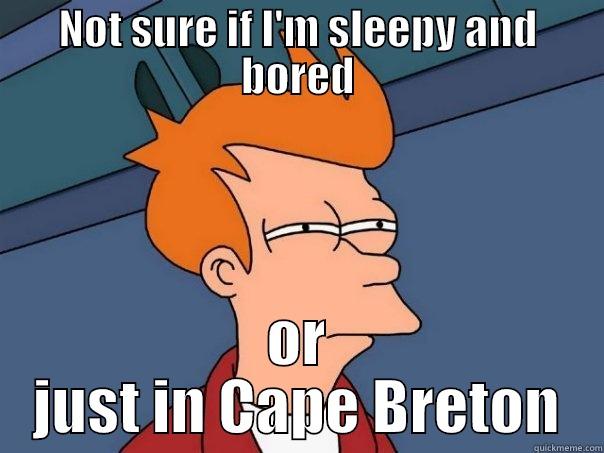 NOT SURE IF I'M SLEEPY AND BORED OR JUST IN CAPE BRETON Futurama Fry