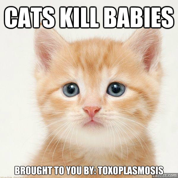 CATS KILL BABIES Brought to you by: Toxoplasmosis  