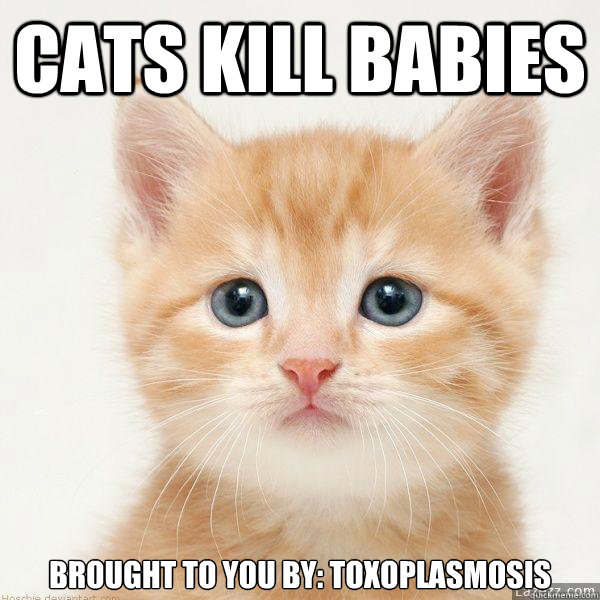 CATS KILL BABIES Brought to you by: Toxoplasmosis - CATS KILL BABIES Brought to you by: Toxoplasmosis  Cat Tox