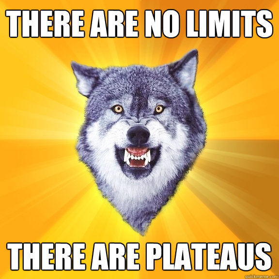 There are no limits there are plateaus  Courage Wolf