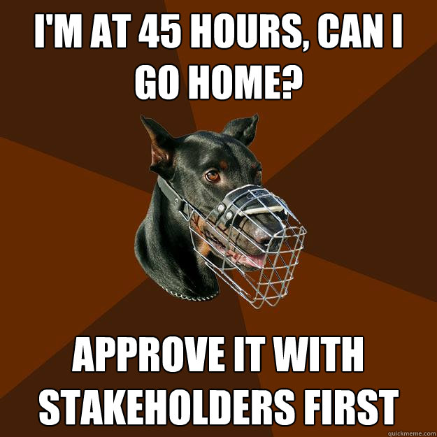 I'M AT 45 HOURS, CAN I GO HOME? APPROVE IT WITH STAKEHOLDERS FIRST  Developer Doberman