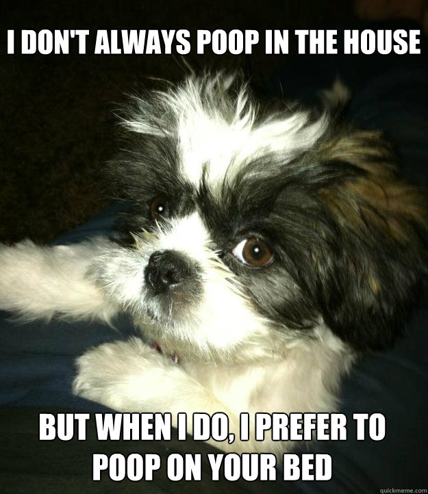 I don't always poop in the house But when I do, I prefer to poop on your bed  The Most Interesting Dog in the World