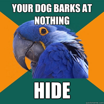 Your dog barks at nothing hide  Paranoid Parrot