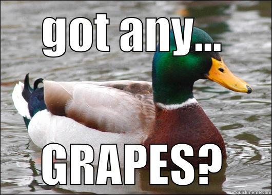 GOT ANY... GRAPES? Actual Advice Mallard