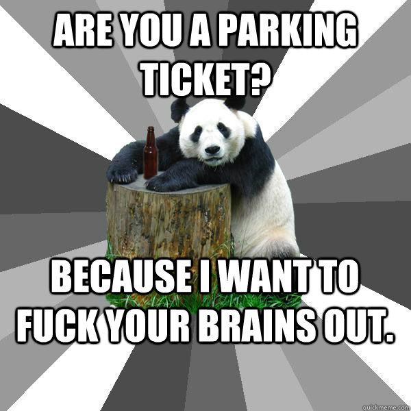 ARE YOU A PARKING TICKET? BECAUSE I WANT TO FUCK YOUR BRAINS OUT. - ARE YOU A PARKING TICKET? BECAUSE I WANT TO FUCK YOUR BRAINS OUT.  Pickup-Line Panda