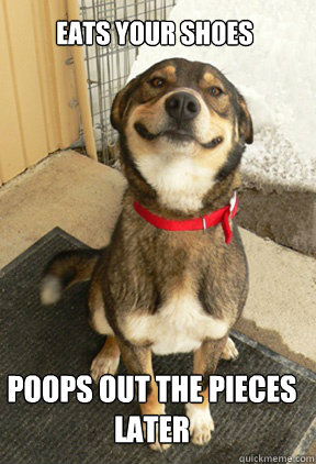 Eats your shoes
 Poops out the pieces later  Good Dog Greg