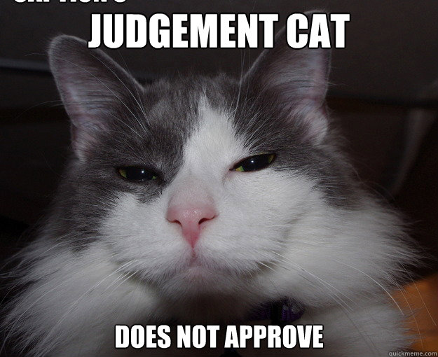 Judgement Cat Does Not Approve Caption 3 goes here  
